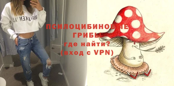 a pvp Кодинск
